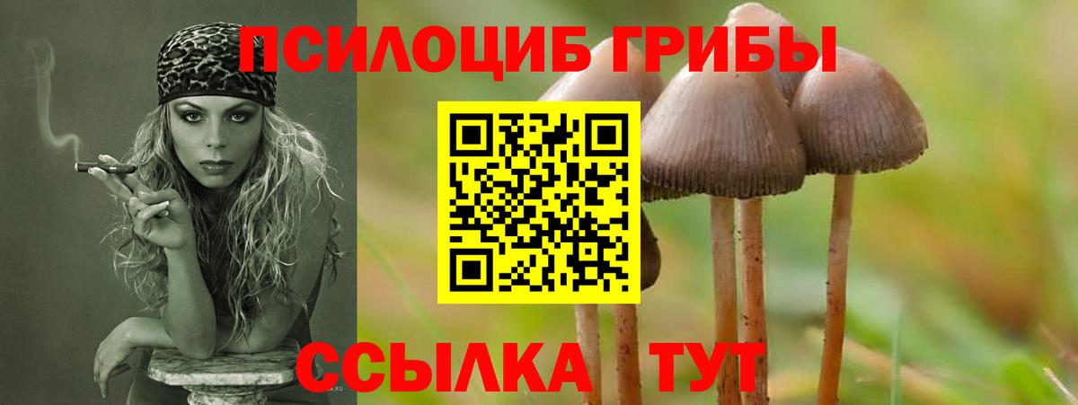 Галлюциногенные грибы мухоморы  Вход с VPN  сколько стоит  Бузулук 